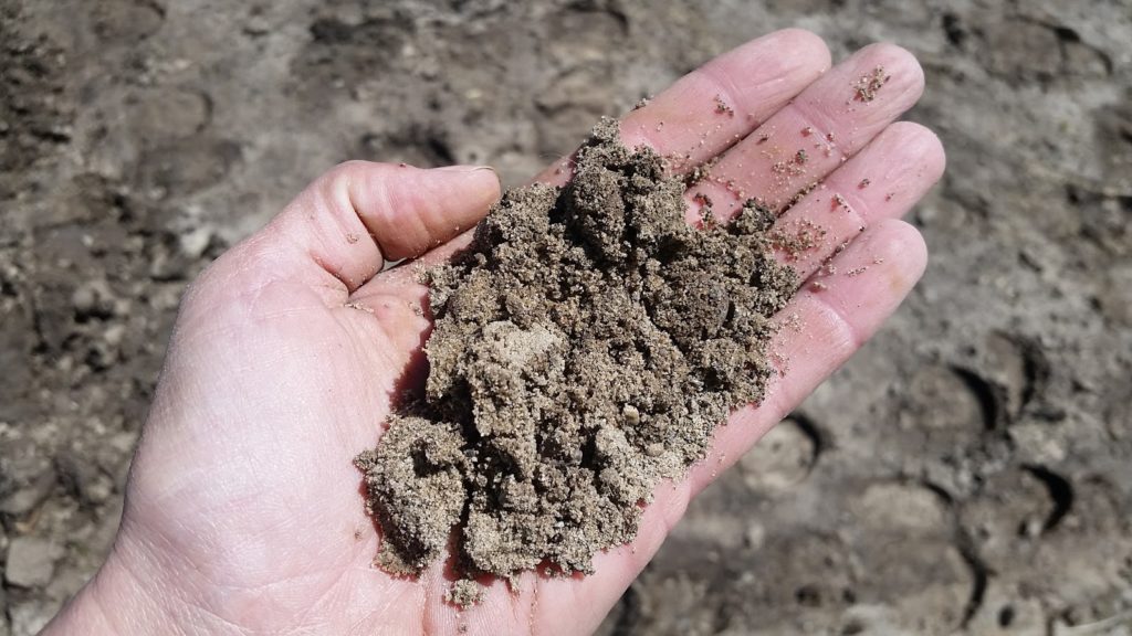 compacted loam