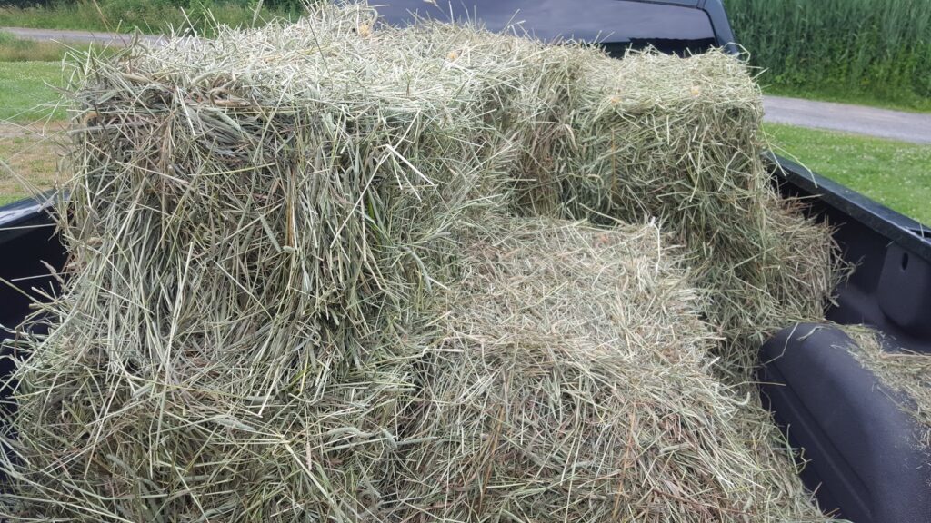 Highway Hay – Dutch Hollow Acres