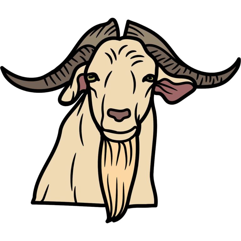 5-popular-meat-goat-breeds